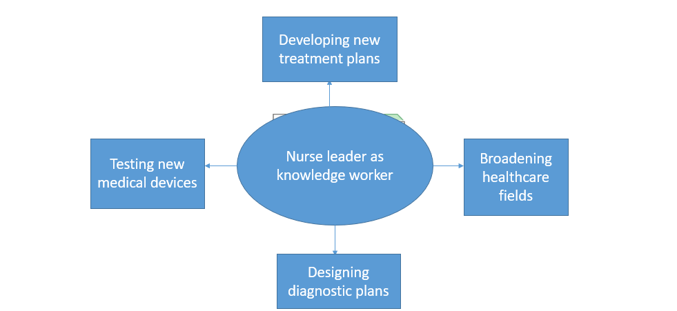 The Nurse Leader as Knowledge Worker NURS 6051