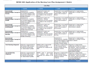 NFDN 1001 Application of the Nursing Process: Nursing Care Plan 2
