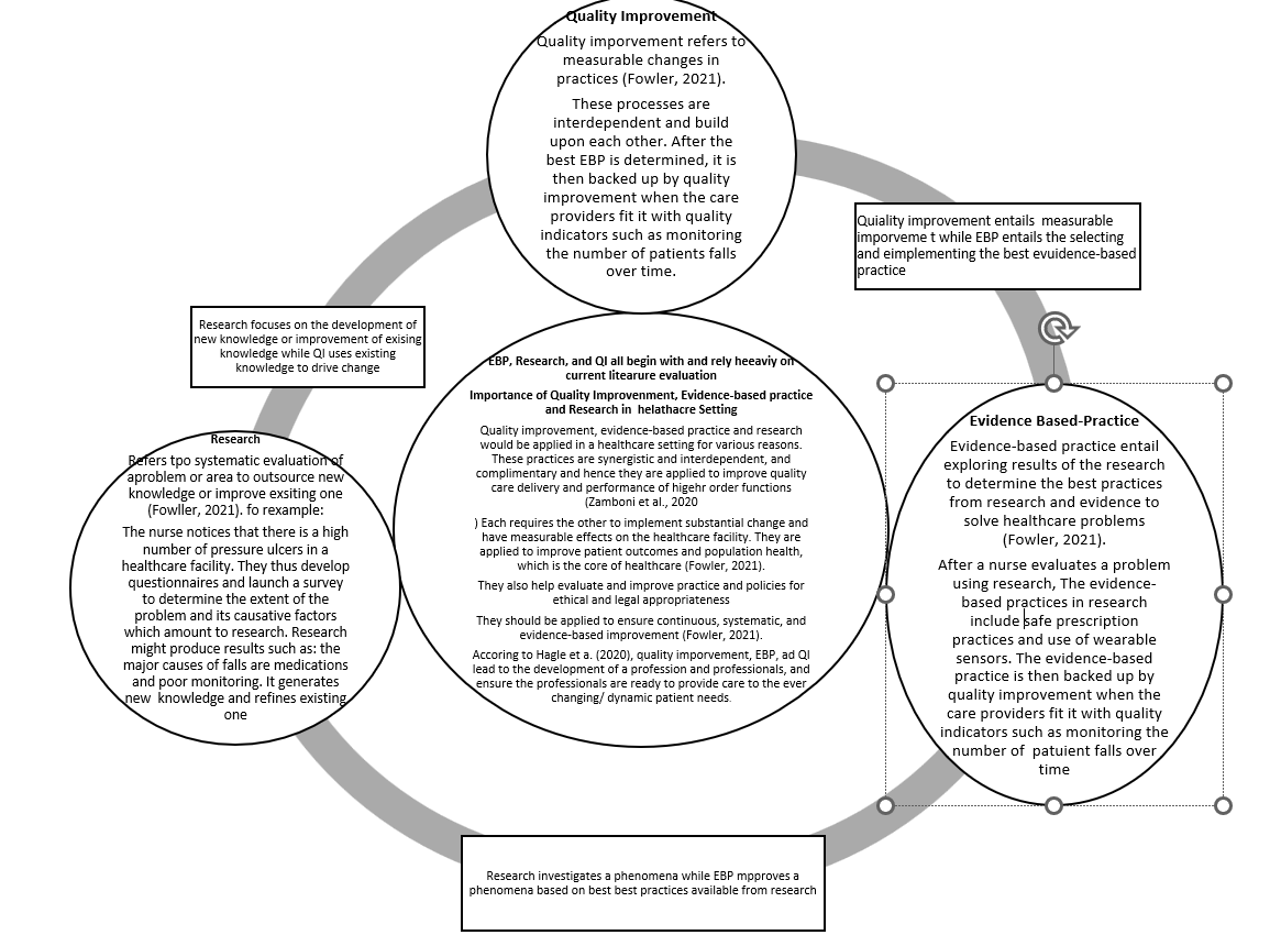 NUR 630 Topic 1 Assignment Visual Model Paper