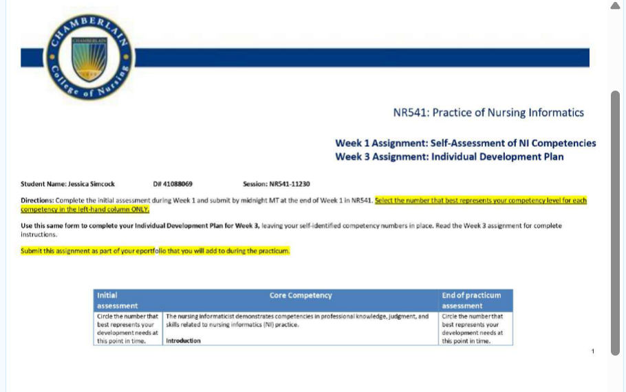 NR541 Week 1 Assignment: Self-Assessment of NI Competencies